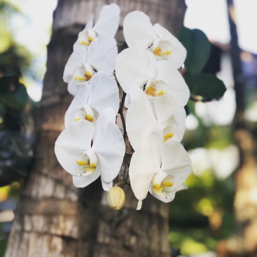 The Village Siargao Хенерал Луна Екстериор снимка